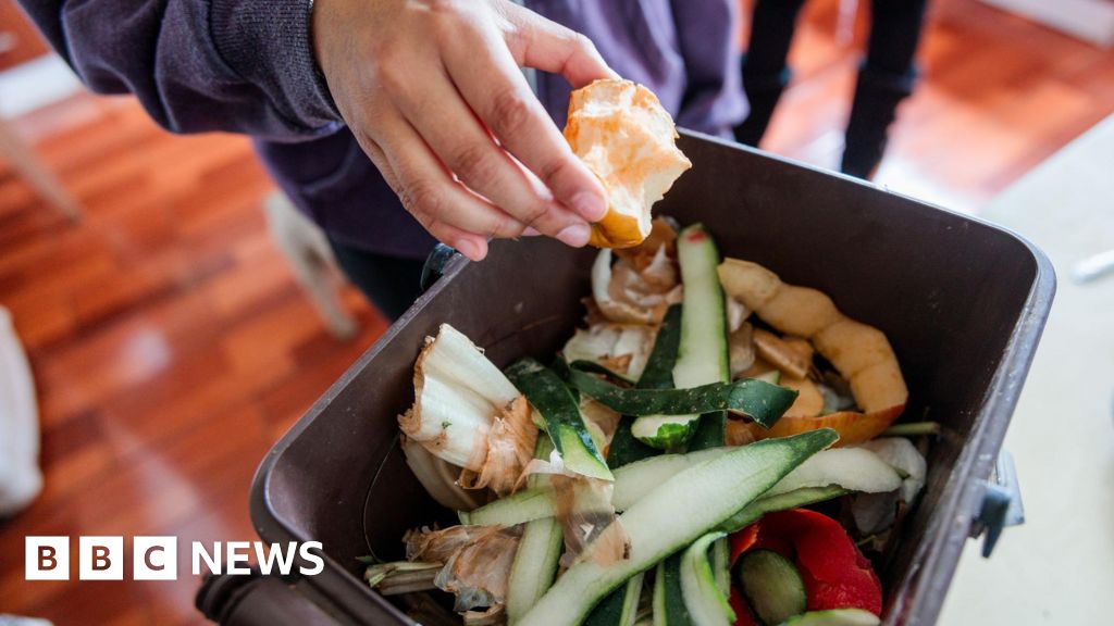 Food waste collections to begin in autumn