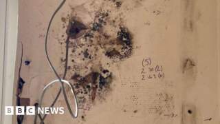 Four arrested over suspected home insulation scheme fraud