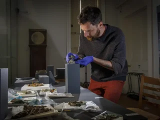 York museum to share ‘once in a lifetime’ discovery | YorkMix