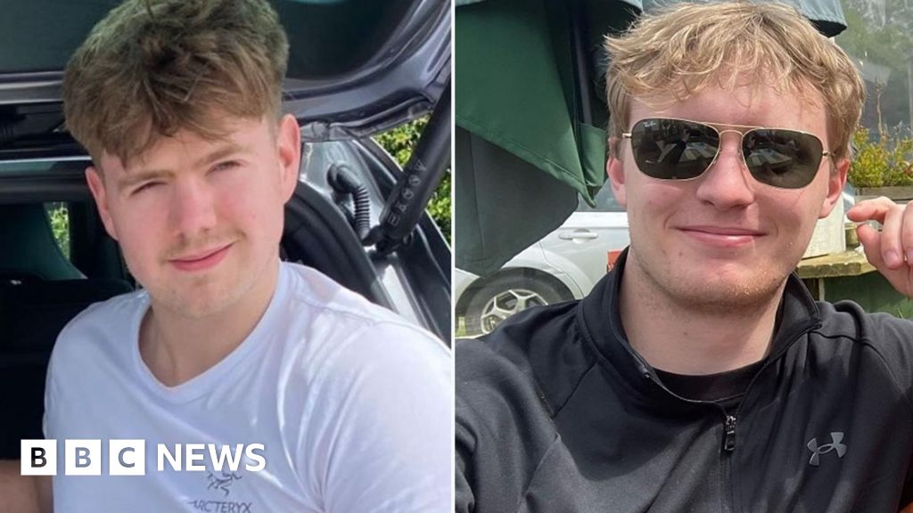 Pilot 'unable to recover from spin' before crash