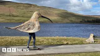 Curlew crusader Matt Trevelyan embarks on Three Peaks challenge