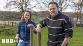All Creatures stars plant Sycamore Gap sapling