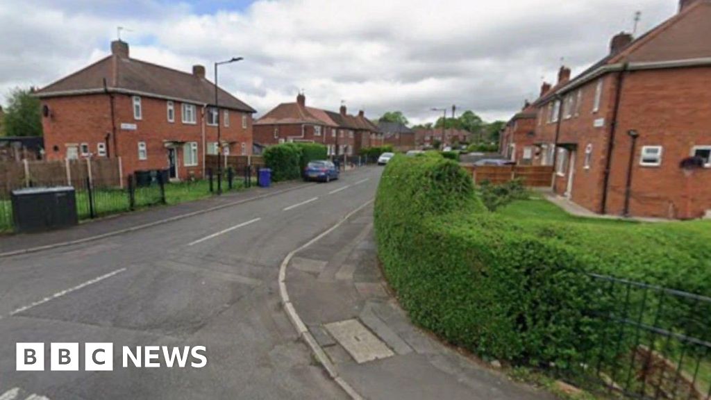 Second man arrested over gunshots fired at houses