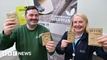 New branch for library seed hub scheme