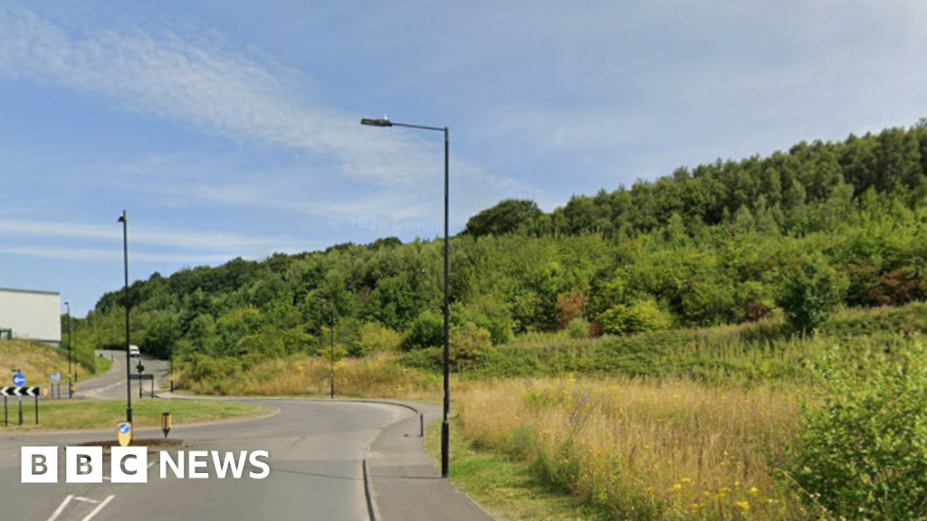 Hundreds object to electric vehicle charging hub