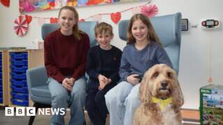 Support dog Frankie sparks smiles at MND centre