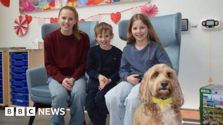 Support dog Frankie sparks smiles at MND centre