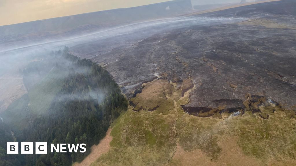 Firefighters return to scene of wildfire