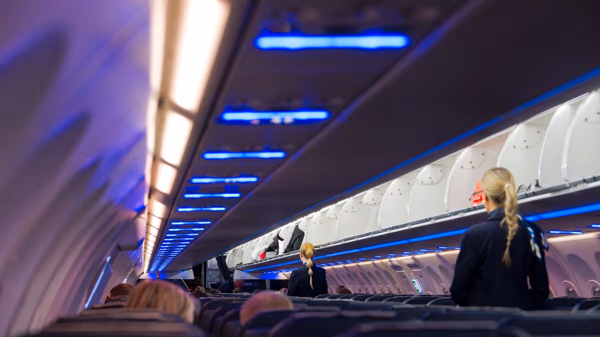 ‘I’m a flight attendant and love it when customers do 5 simple things’
