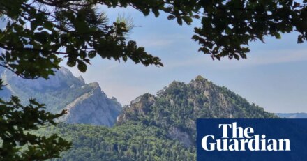 We’re going on a Bosnian bear hunt … in Europe’s oldest forest | Bosnia and Herzegovina holidays