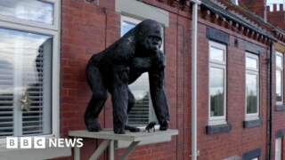 Wakefield gorilla statue must be removed, council says