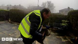 Amazon driver admits taking family cat from garden