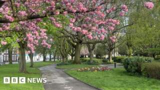 Funding sought to revamp park with crazy golf