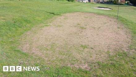 Tree faces axe over damage to golf course green