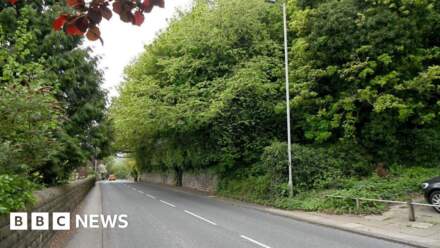 Trees need felling to repair wall, says council