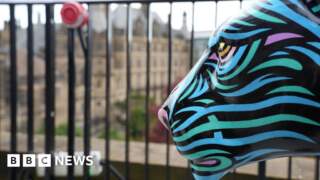 150 lions arrive for Pride of Yorkshire art trail