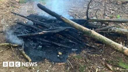 'Danger' warning after forest campfires found