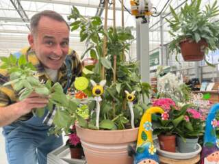 The grow must go on as theatre launches magic beanstalk contest