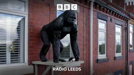Wakefield woman told to take down gorilla statue