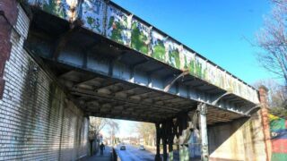 Animal charity defends Hull bridge clean-up amid bird welfare concerns