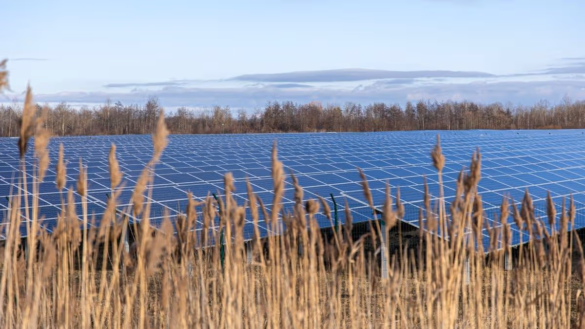 Residents invited to have say on 500MW solar farm plans