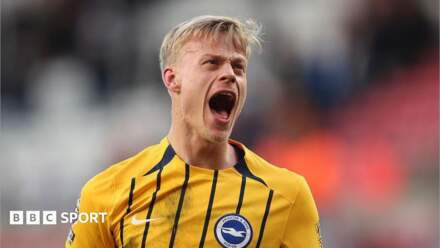 Jan Paul van Hecke: Tottenham sign £52m Brighton defender