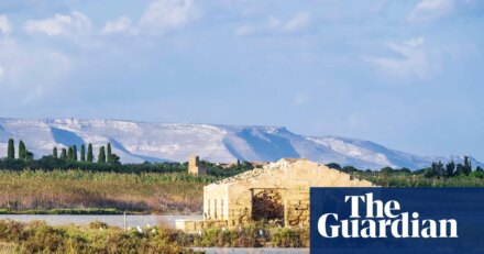 Pink flamingos and shimmering lemon groves: exploring Sicily’s Vendicari nature reserve | Sicily holidays