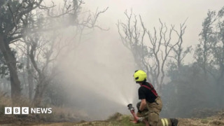 Countryside visitors urged to take “extra caution” to avoid risk of fire