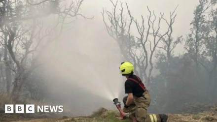 Smoker watching wildfire 'started second blaze'