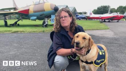 Electric vehicles posing challenges for guide dog puppies