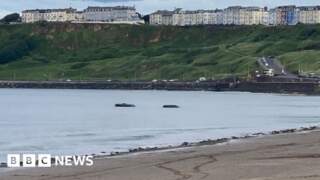 Two vehicles become stranded in sea at beach