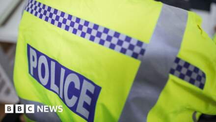 Two flee scene after car crashes into a house