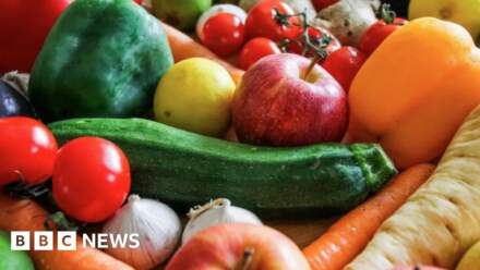 Reform could reverse council's vegan menu policy