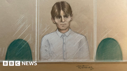 Norway teen was in UK to 'undertake a hit' – court