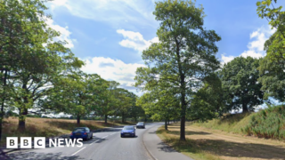Bollard plan to protect park from nuisance drivers