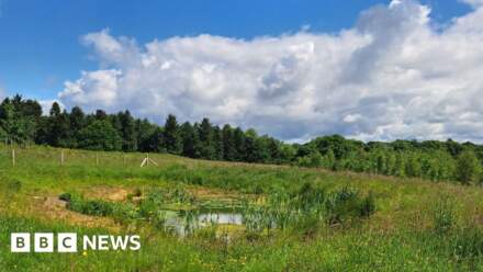 'Citizen scientist' photos used to reduce flooding