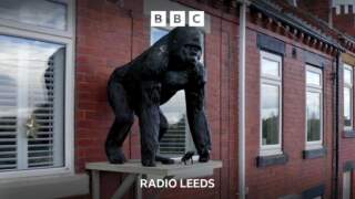 Wakefield gorilla taken down and off to London