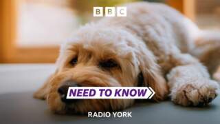 Need To Know North Yorkshire