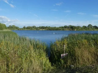 Bird hide set on fire at York lake | YorkMix
