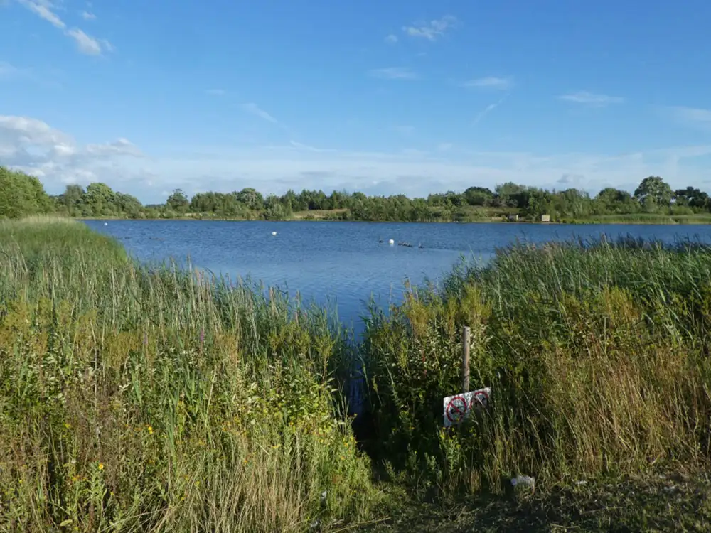 Bird hide set on fire at York lake | YorkMix