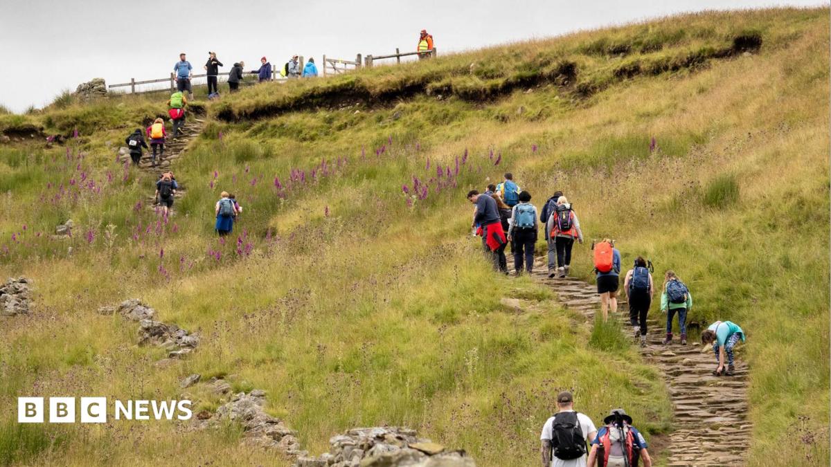 ‘Most people are lovely, but we do get irresponsible visitors’