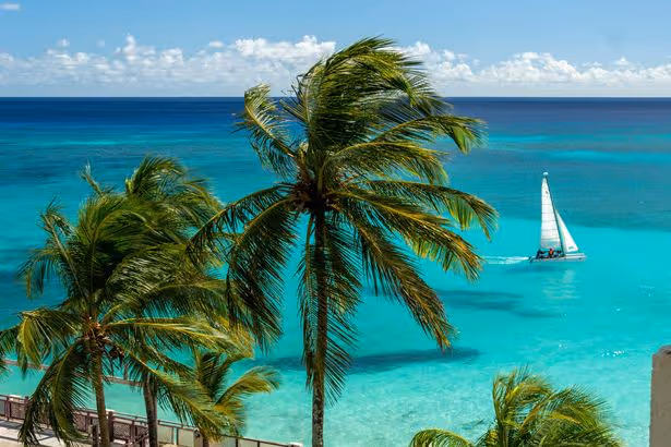 AD FEATURE: Five bucket-list cruise holidays that could change your life in 2027