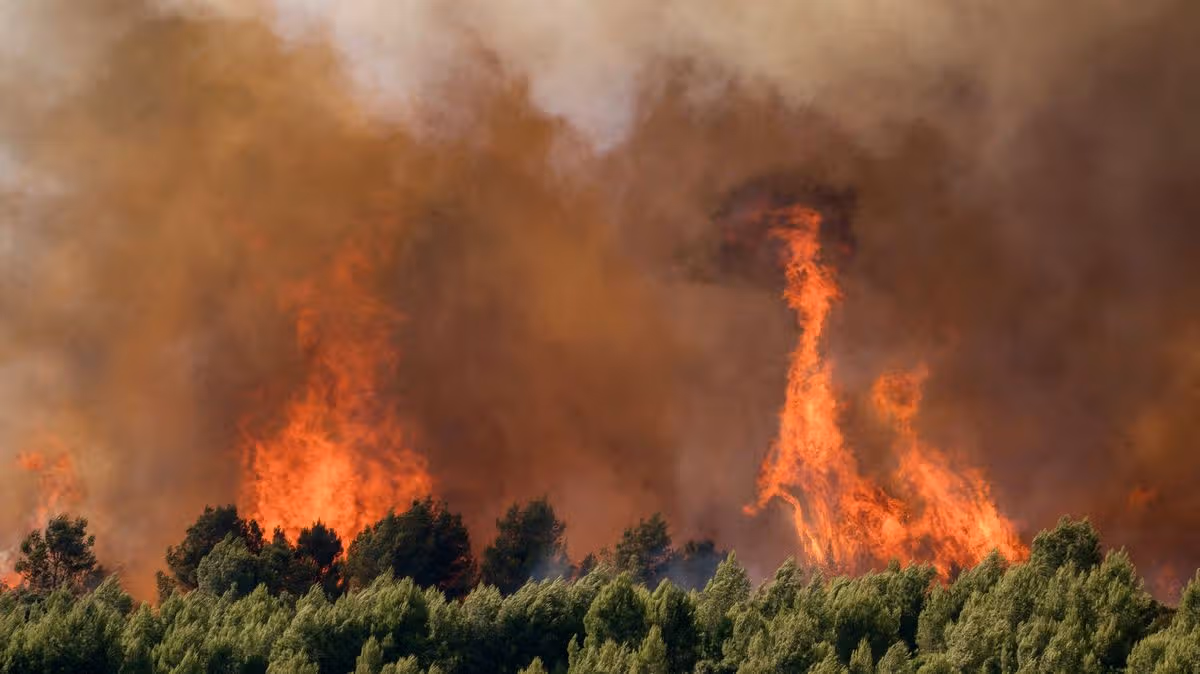 Foreign Office updates France travel advice as country hit by wildfires ahead of summer