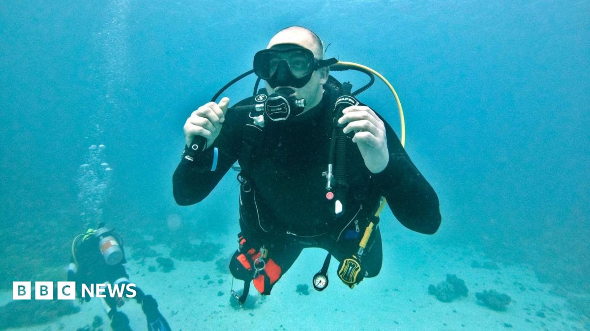 Dearne Valley Divers to swim with sharks to solve bay mystery
