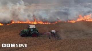Four teenagers arrested over suspected field arson near York
