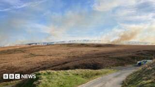 Marsden residents back calls for disposable barbecue ban