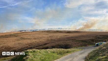 Marsden residents back calls for disposable barbecue ban