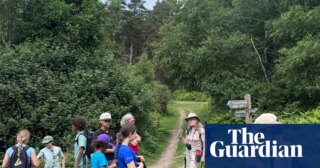 A family group walking holiday in Exmoor: steam trains, tree climbing and lashings of ice-cream | Family holidays