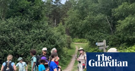 A family group walking holiday in Exmoor: steam trains, tree climbing and lashings of ice-cream | Family holidays