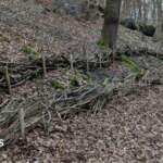 Anti-flood project in Shipley to ‘help nature thrive’